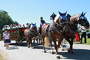 Leonhardi Fahrt Siegertsbrunn (©Foto: Martin Schmitz)